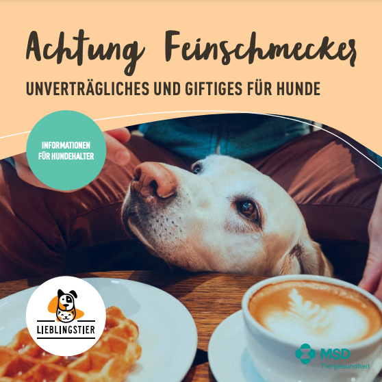 Unverträgliches und Giftiges für Hunde
